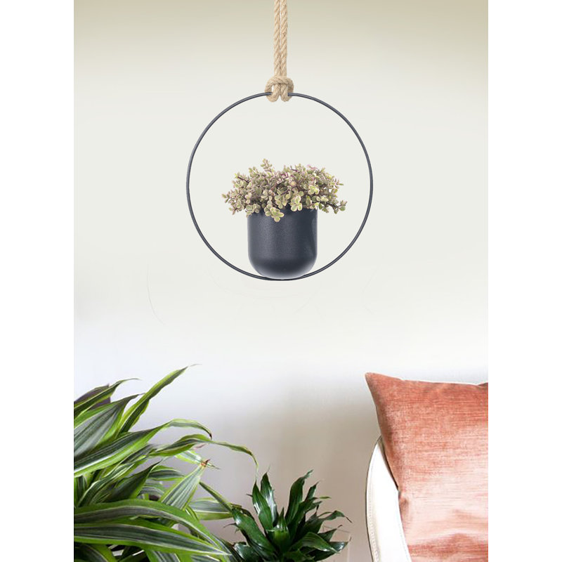 Ray Hanging Planter, 13" H x 5" W x 13" D
