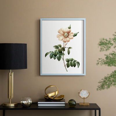 Botanical Beauty II Framed Print - Solid Wood