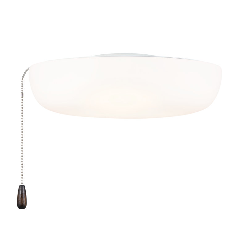 Ventilateur de plafond à DEL 1 lumière