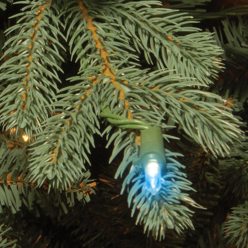 Replacement Bulbs, Multi Color