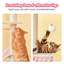Arbre à chat 69 "Degolier-90801128
