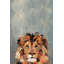 «Hola Lion», reproduction sur toile tendue-27175506