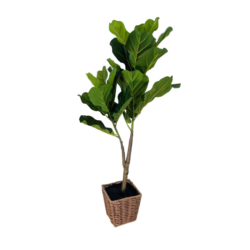 36" Green Plastic Fiddle Leaf Fig Topiary in Faux Wicker Basket