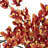 Orchid Arrangement in Vase