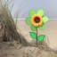 Tournesol 12 po Vicini-1259264151