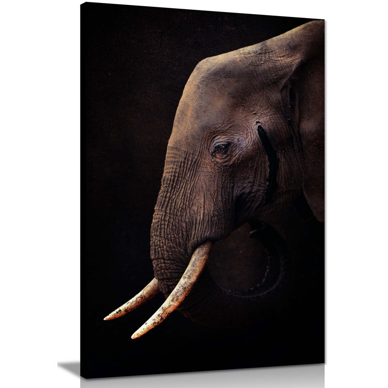 Old Elephant With Sad Eyes - Wrapped Canvas Print, 31cm H x 20cm W x 1.8cm D