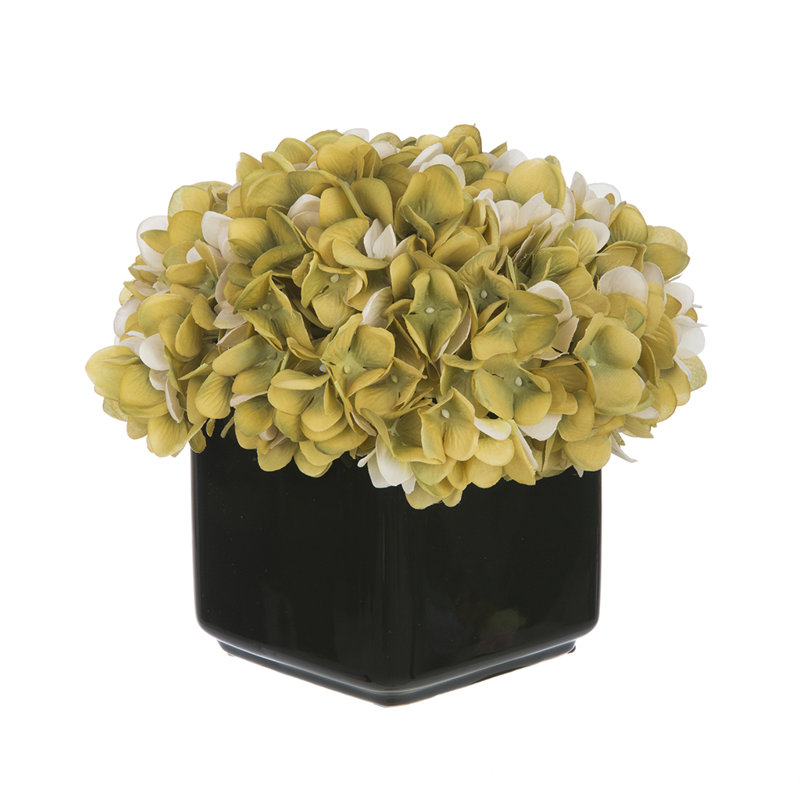 Hortensia artificiel dans un vase cubique en céramique noir brillant, Sauge/crème