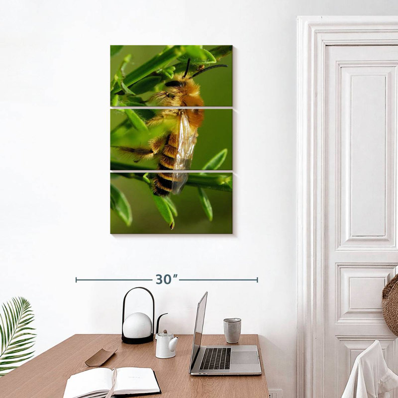 Brampt Bee Bee Bee, 32" H x 20" W