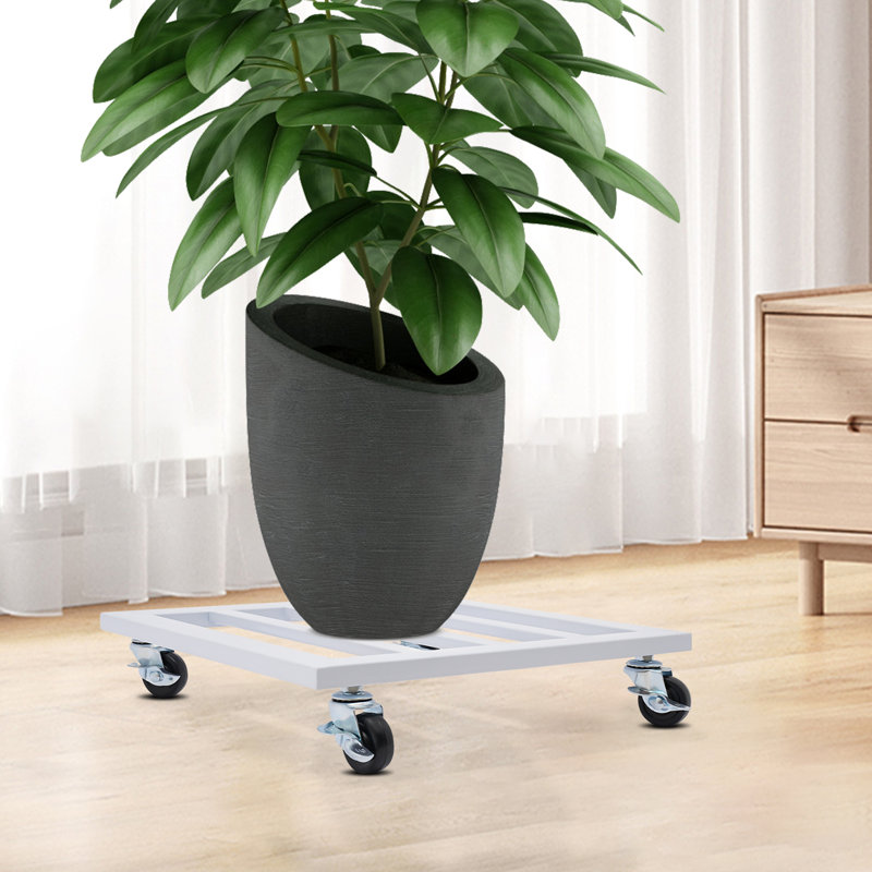 Support pour plante Quintavia, Blanc, H 3,15 po x L 14 po x P 14 po
