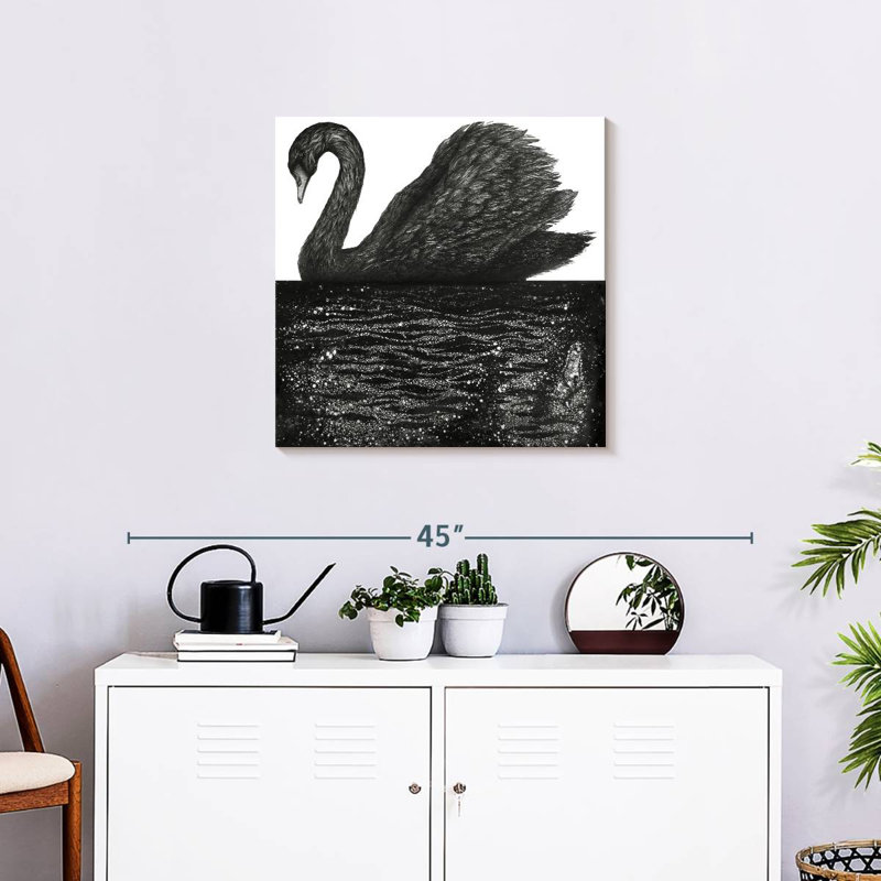 Brampt Black Swan Reflection, 24" H x 24" W