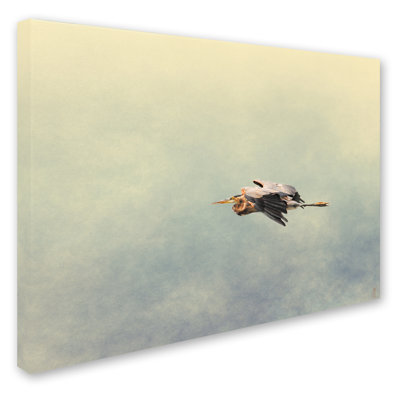 Vidur 'Blue Heron in Flight 2' Graphic Art Print on Wrapped Canvas