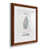 Maple Framed Paper selected