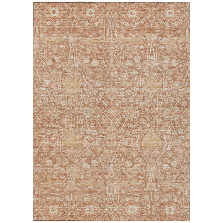 Machine Washable Indoor/Outdoor Chantille ACN1133 Coral Rug