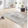 Celebration Plume Flatweave Grey/Cream Rug