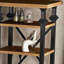 Retro trend bookcase-2130919850