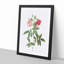 Hudson Rose in Pink by Pierre-Joseph Redoute - Picture Frame Painting Print-55579028-55579029