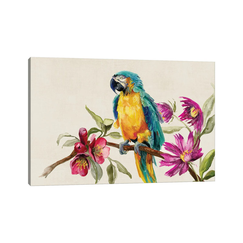 Perroquet sur une branche - reproduction d'art murale - toile encadrée, H 18 po x l 26 po, Toile tendue, Ne s’applique pas