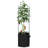 Plant Stand - Set of 4