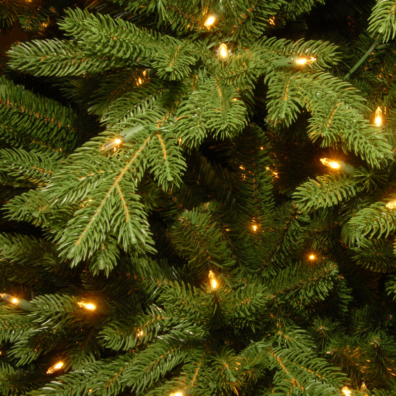 The Holiday Aisle® 7.5ft. Princeton Deluxe Fraser Fir with PowerConnectDual Color LED Lights