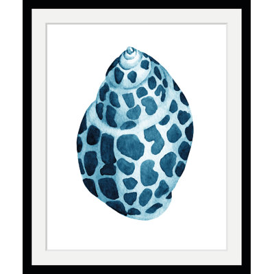Shell - Single Picture Frame Print