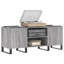 48cm H Media Cabinet-1360392569