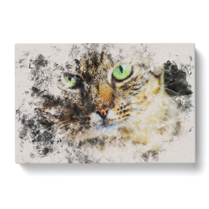 Portrait Of A Cat Vol.6 - Wrapped Canvas Print, 35cm H x 50cm W x 3cm D