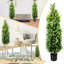 2 paquets de cèdres topiaires artificiels-940879724