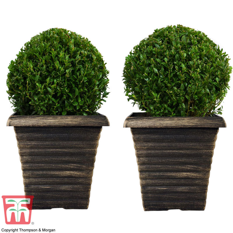 Nuralya Plant Pot (x2), 1, Bronze