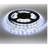 Morrilton Indoor 0 - Bulb 5'' Plug-in LED Fairy String Light-414325775