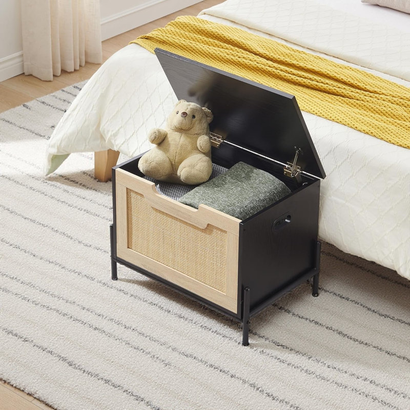 Accent Trunk