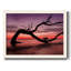Photographie, étude, coucher de soleil, plage, reproduction encadrée sur toile-96281125-96281123