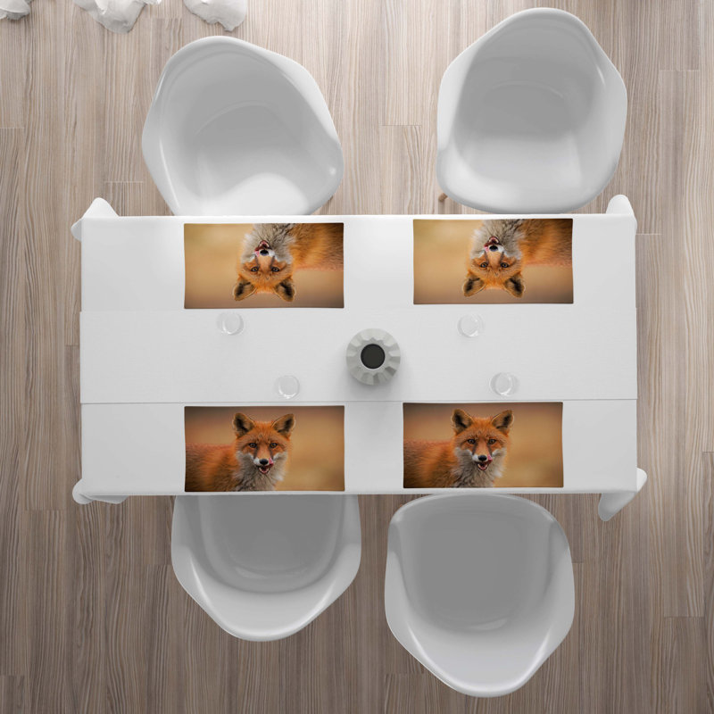 Récapitulatif 18,5" fox