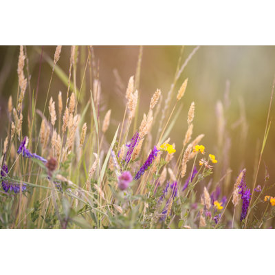 Wild Flowers-Stock - Wrapped Canvas Print