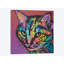 «Lucy the Cat», impression sur toile-30003927-72406611-72406612