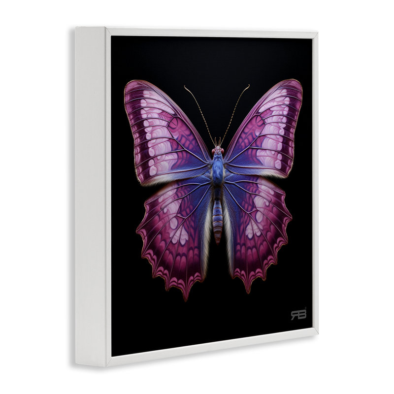 Art de la giclée de papillon mauve vif par Roozbeh Bahramali, Giclée encadrée blanc bord de mer, H 24 po x l 24 po