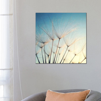 Make A Wish by Lupen Grainne - Wrapped Canvas Print