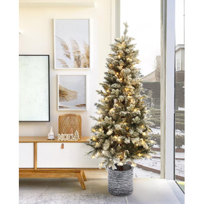 5.6' Lighted Faux Snow Flocked Fir Christmas Tree -  The Holiday AisleÂ®, DDA977E29C6747DEA18E25F53D3B7703