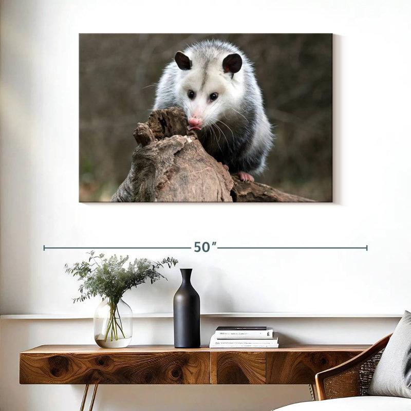 Bramble opossum, H 26 po x l 39 po