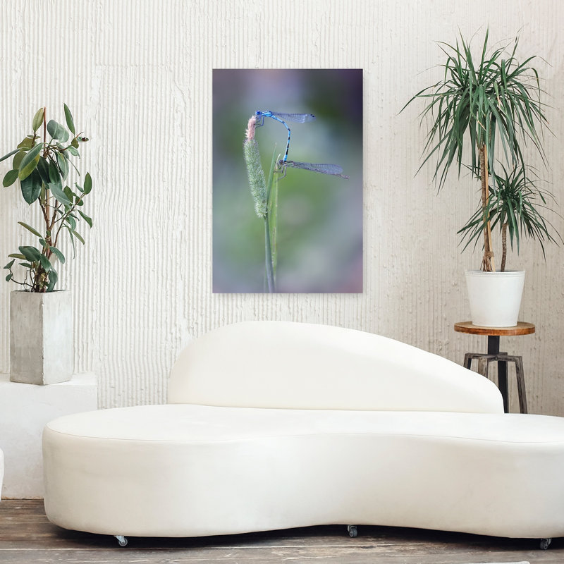 Blue Damselfly Love Delicate Serene Tranquil Animal Nature Wall Art Print 1 Piece Wrapped Canvas Wall Art