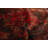 Rizbaft Grey Rug 3'5" x 7'0"