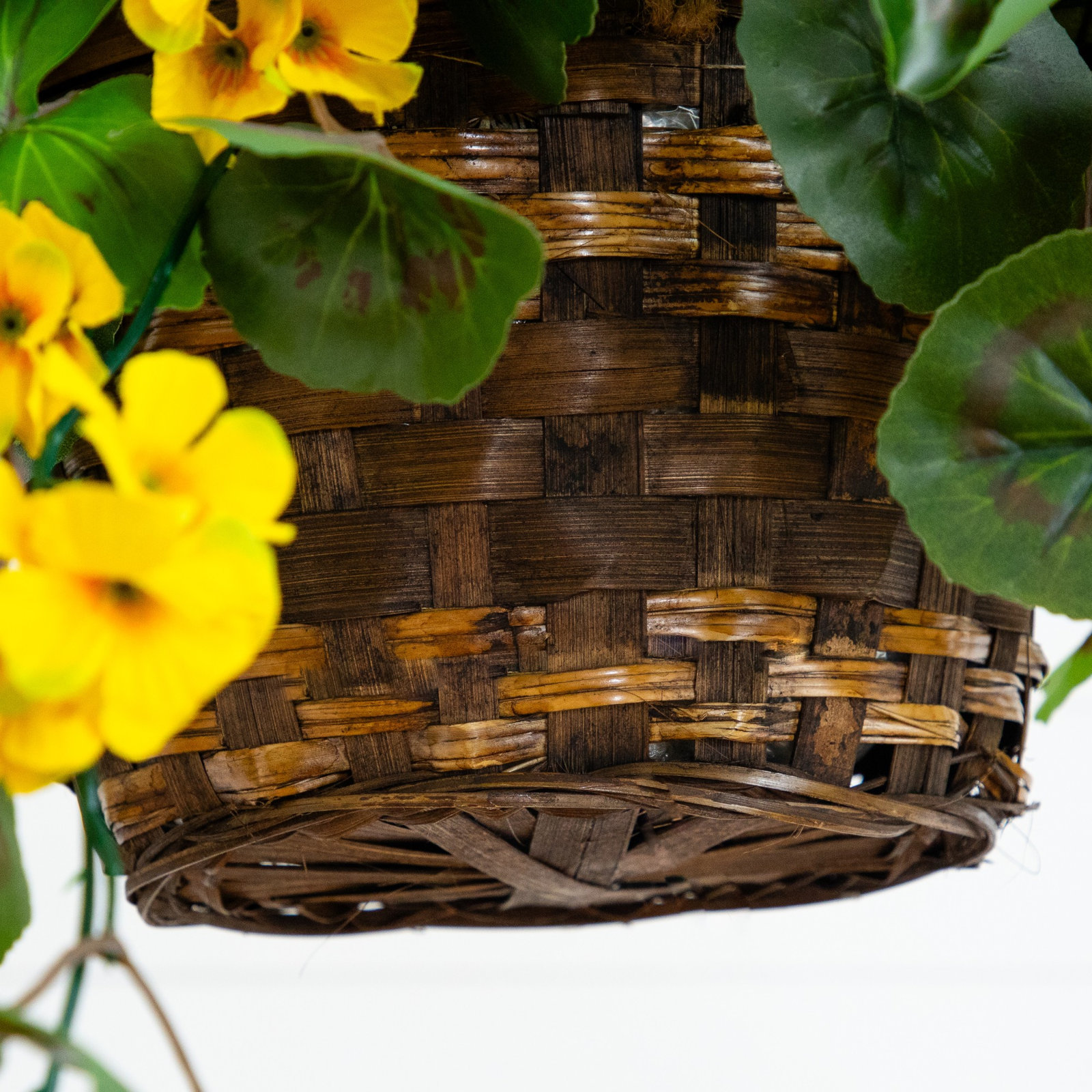 28" Geranium Hanging Basket, Yellow