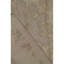 Floral Area Rug in Ivory