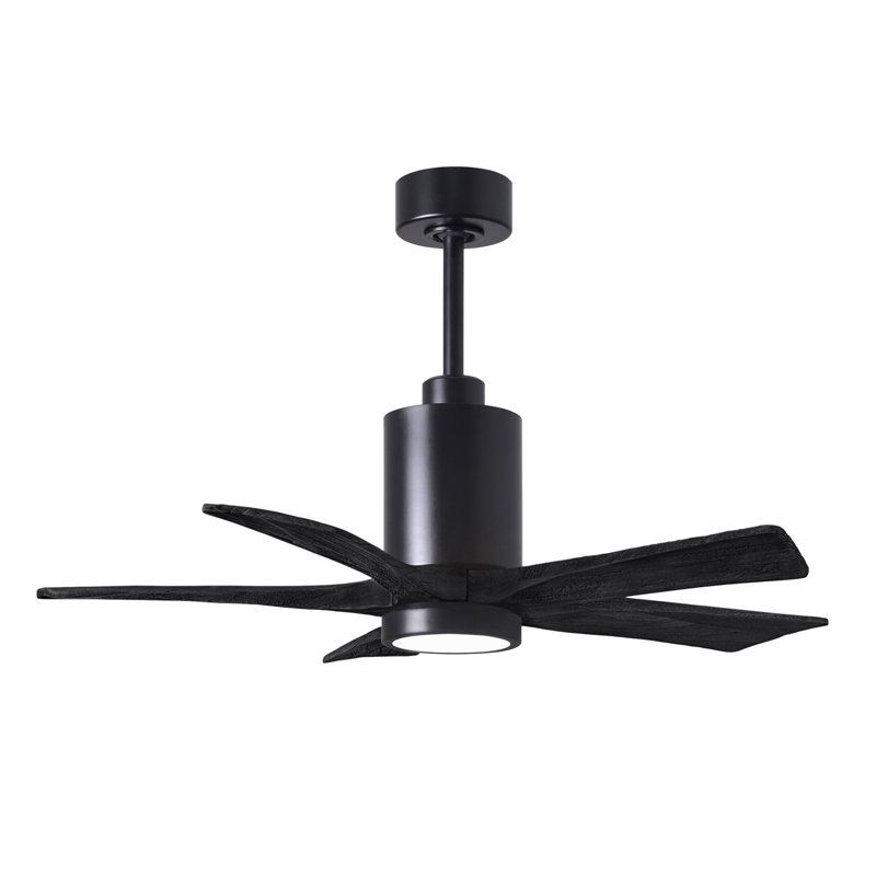 Patricia LED Downrod Ceiling Fan, Matte Black, Matte Black