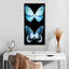Miss Butterfly X-Ray - noir-1819639475
