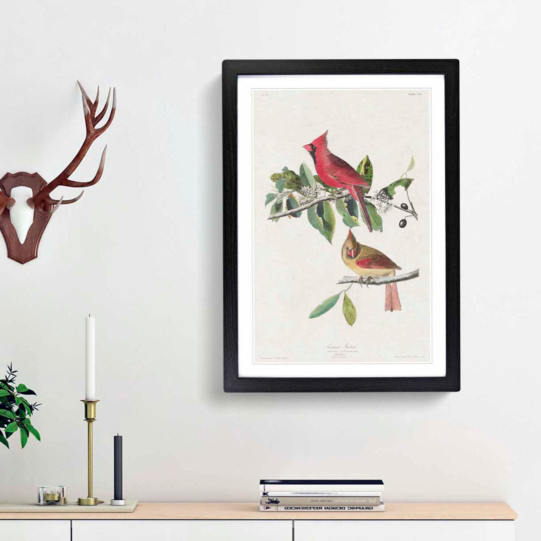Cardinal Grosbeak Birds by John Audubon - Picture Frame Painting Print