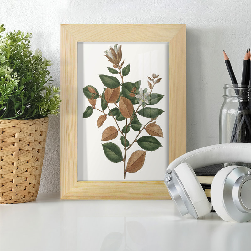 Feuillage d'automne, reproduction encadrée sur papier, H 9 po x l 7 po x P 1 po, Naturel