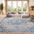 Barcus Light Gray/Blue Rug-414590962