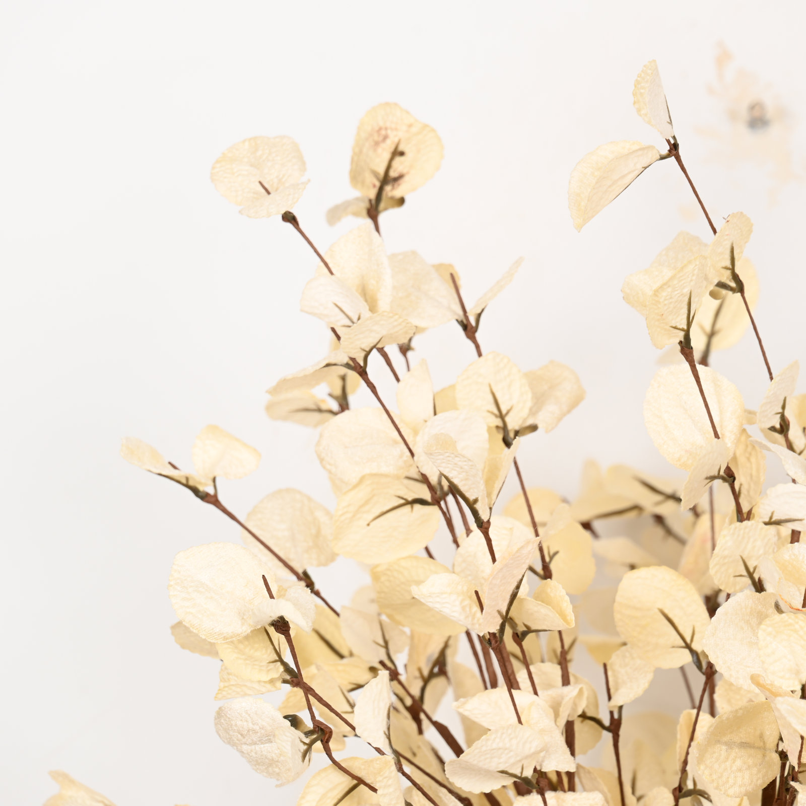 Eucalyptus Floral Arrangement, Cream