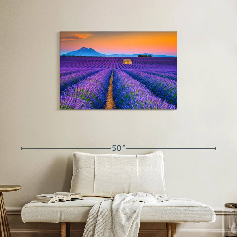 Alvord superbe champ de lavande Valensole, H 24 po x l 36 po