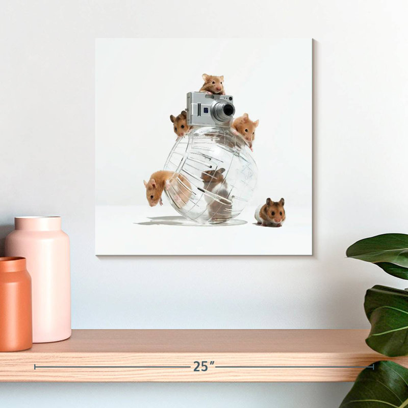 Brampt image de hamster parfait, H 16 po x l 16 po